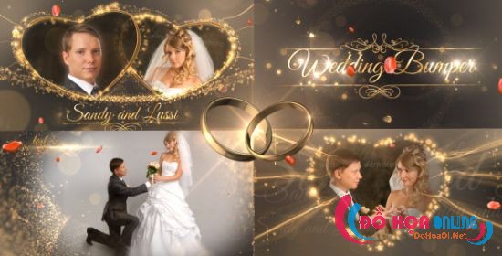 MMC Vol 6 | Wedding Package ( After Effects Project Files)
