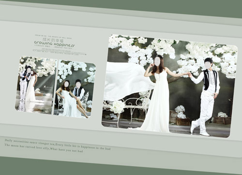 Wedding Photography Photo Album PSD material