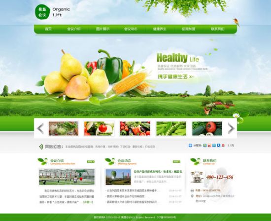 Template mẫu web công ty nông sản cực đẹp psd