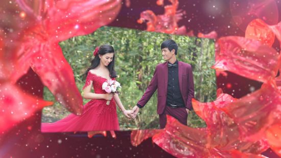 Mẫu Đầu Băng Đám Cưới Bokeh Full HD | Project Wedding Bokeh HD Premiere